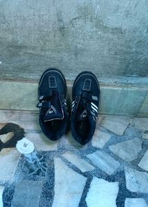 Sports Shoes