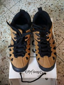 Men Trekking Shoes(Woodland Copy)