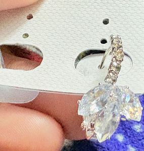 Sparkling Silver Earrings