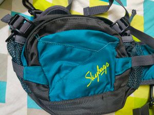 Skybags Waist Bag