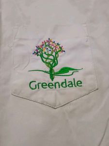 Greendale School Uniform Shirt , Little Stain