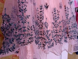 Elegant Pink Embroidered Lehenga Set