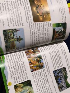 Grade 2 Books Bundle