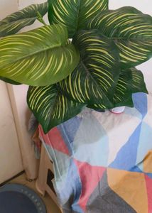 Artificial Plant Decor