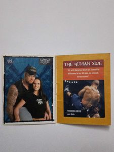 Marbels WWE Album No 6