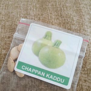 Different Gourds Seeds