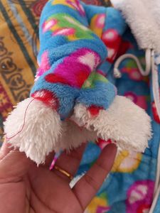 Winter Swetars Set With Hoody Cap