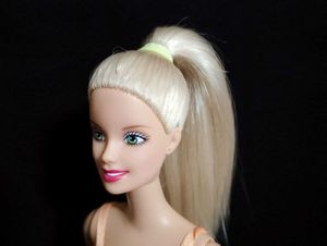 Barbie Kennel Care 2001 Doll