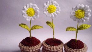 Crochet Daisy Plant Decor
