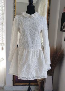 White Lace Peter Pan Collar Dress