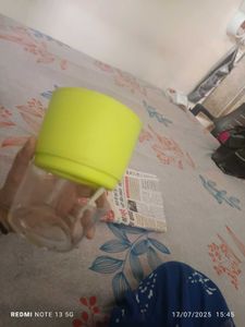 Self Water Plant Pot