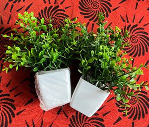 artificial plants