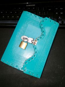 Diary ...keep your secrets to you.