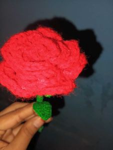 Beautiful Red Rose 🌹