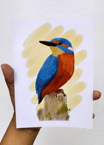 Kingfisher - Unframed Artwork