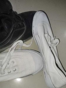 Boys And Girls School Shoes