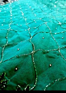Party wear net saree