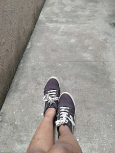 Stylish Canvas Sneakers