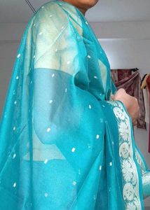 Sea Green &amp; Gold Detail Saree