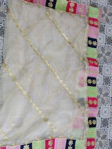 Bahut Hi Pyara Organza Dupatta Embroider