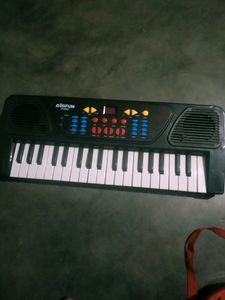 Electronic Harmonyam