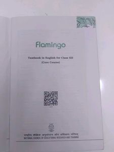 flamingo class 12
