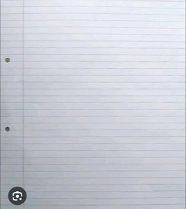 50 Sheets (Inclusive Of Index Sheet) Project Paper