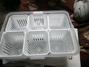 Fridge Container Set Of 6 Pc