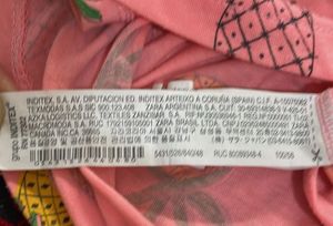 ZARA Pineapple Print Top