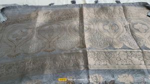 Organza Saree