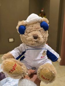 Collectible Teddy Bear