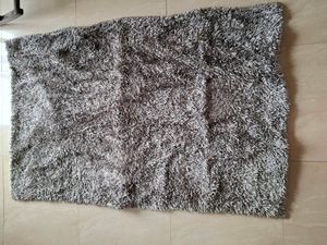 Large Silver Living Room Rug/Carper
