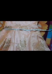 Heavy Party Wear Gown