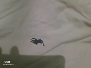 Best Polo TShirt