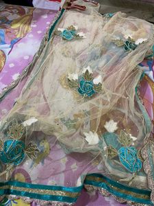 2 Net Dupatta Combo