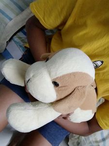Stuffed Toy
