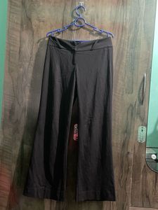 Formal Pants Flare