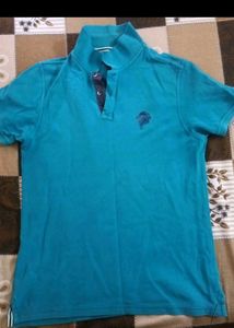 Striped Polo Shirt