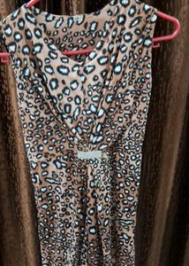Leopard Print Dress