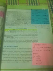 NCERT