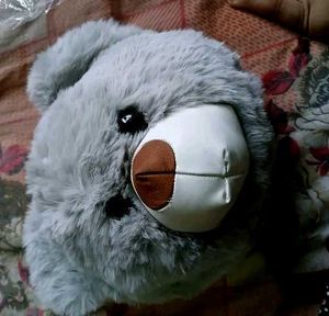 Cute Plush bear 🐻 bag