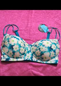 Combo Of 2 Clovia Bra Size 36E