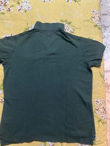 Polo T Shirt