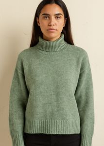 Zudio High Neck Jumper