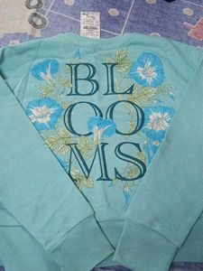 SEA GREEN SWEATSHIRT