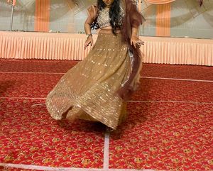 Mirror Work Beautiful Lehenga
