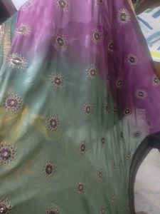 Bright Colour Saree.