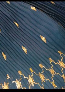Navy Blue Lehenga