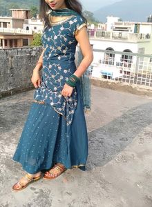 Beautiful Ethinic Wear (Party Occasion)