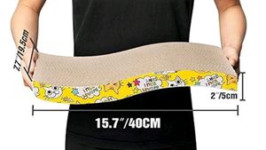 Unused Reversible Cat Scratcher